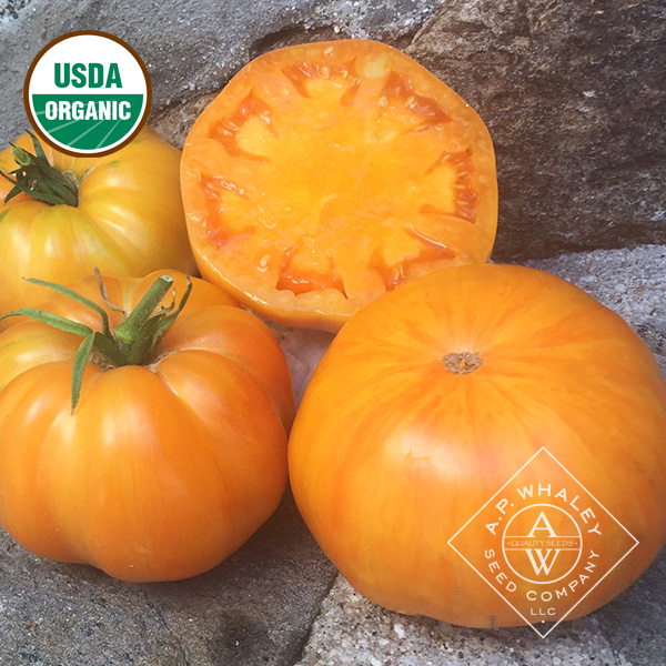 Artisan – Orange Jazz | A.P. WHALEY, LLC